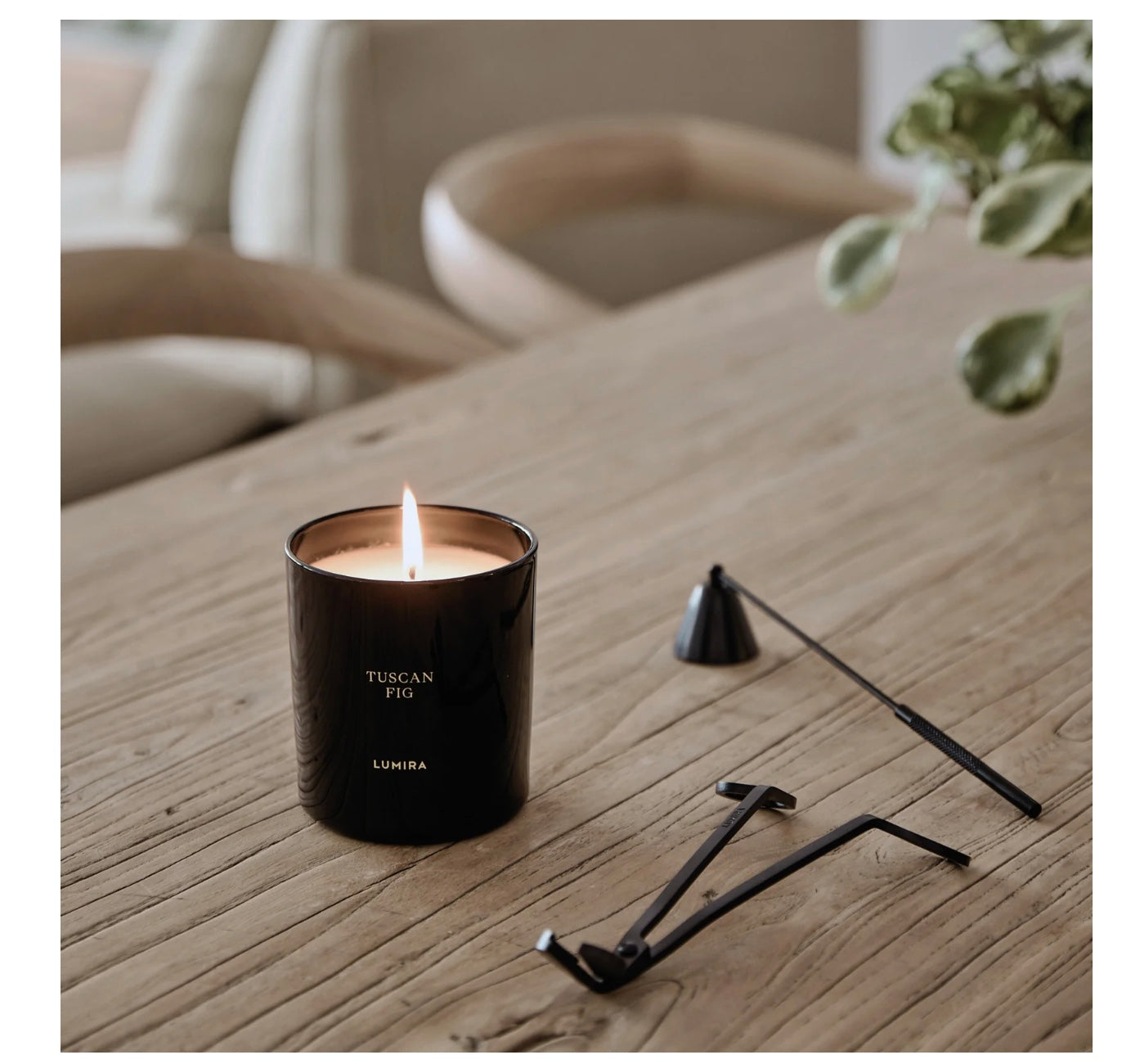 CANDLES & FRAGRANCE